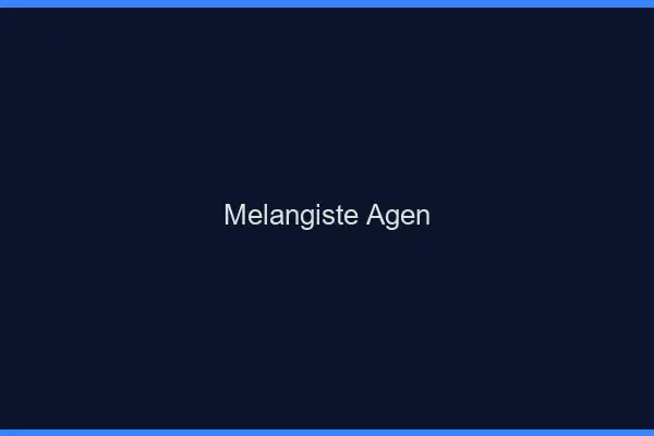 Mélangiste Agen
