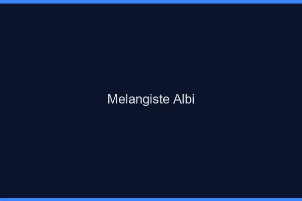 Mélangiste Albi