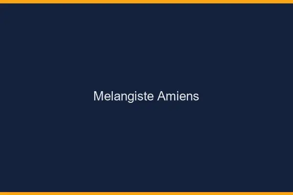 Mélangiste Amiens