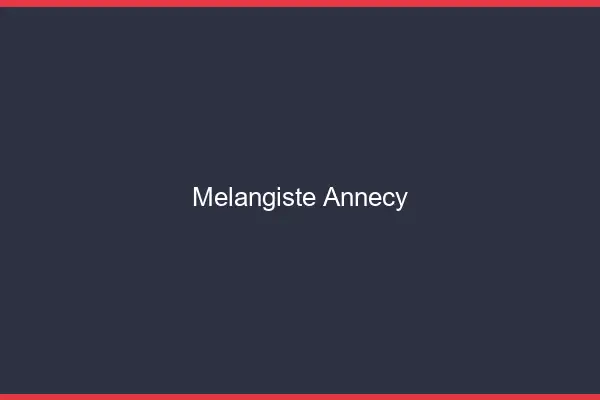 Mélangiste Annecy