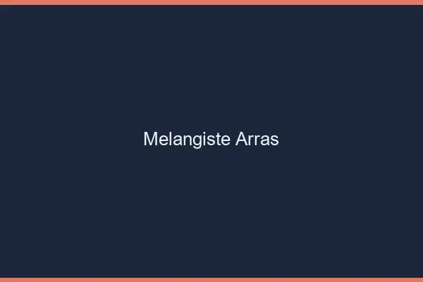 Mélangiste Arras