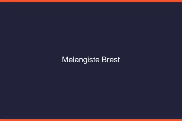 Mélangiste Brest