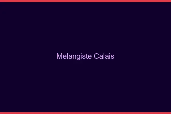 Mélangiste Calais