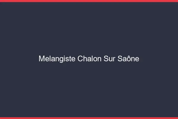 Mélangiste Chalon-sur-Saône