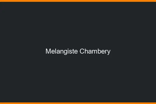 Mélangiste Chambéry