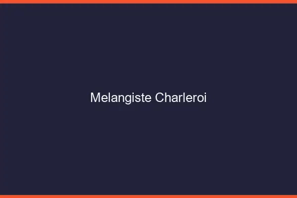 Mélangiste Charleroi