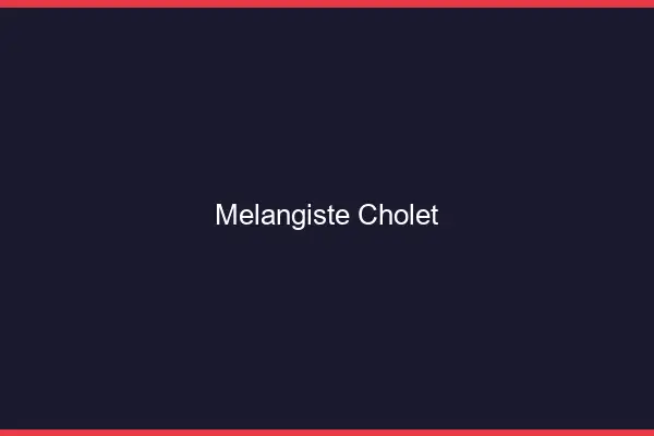 Mélangiste Cholet