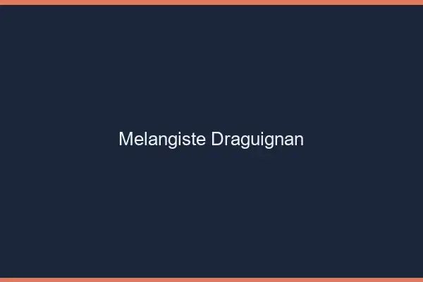 Mélangiste Draguignan