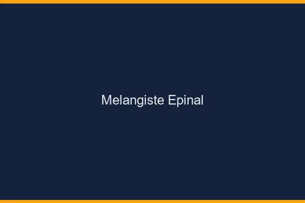 Mélangiste Épinal
