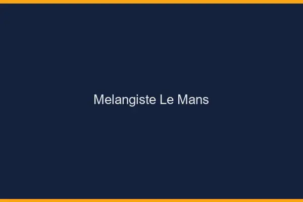 Mélangiste le mans