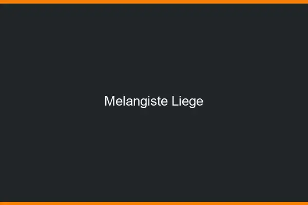 Mélangiste Liège