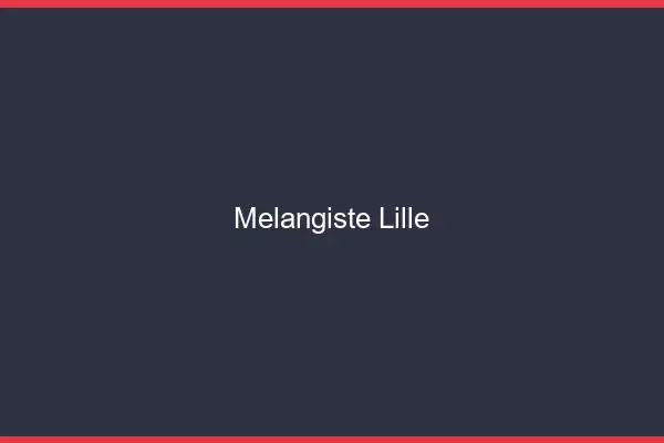 Mélangiste Lille