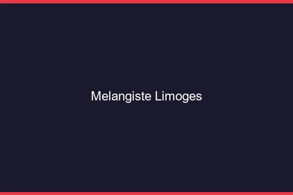 Mélangiste Limoges
