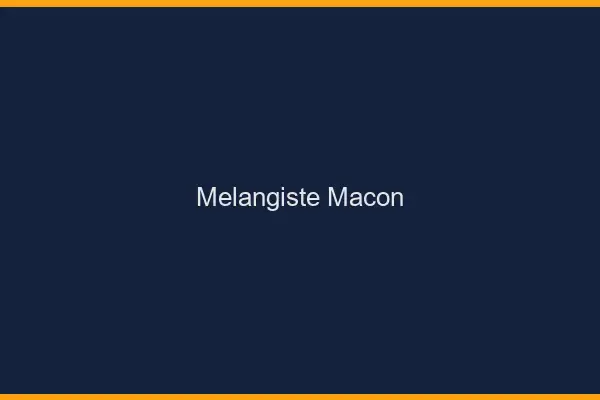 Mélangiste Mâcon
