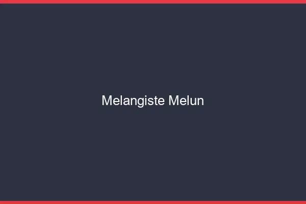 Mélangiste Melun