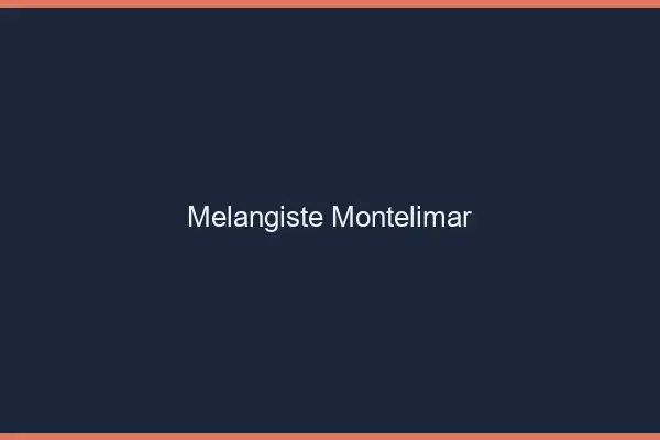 Mélangiste Montélimar