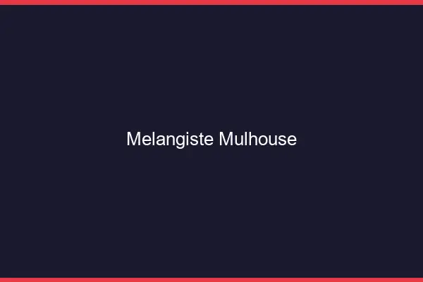 Mélangiste Mulhouse