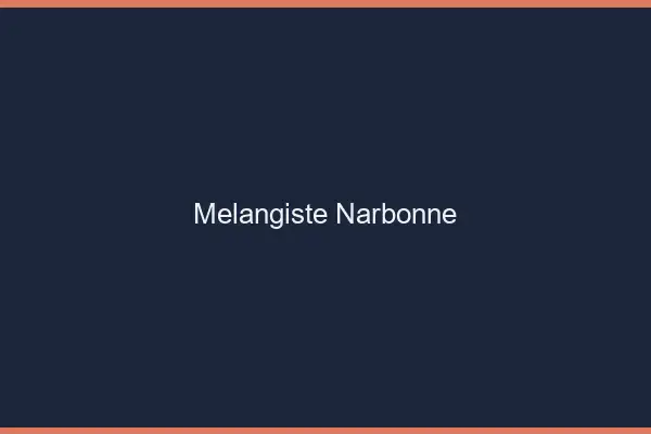 Mélangiste Narbonne