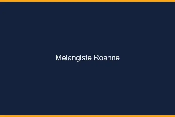 Mélangiste Roanne