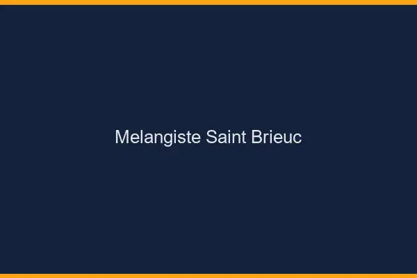 Mélangiste Saint-Brieuc
