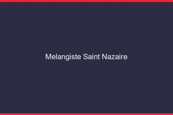 Mélangiste Saint-Nazaire
