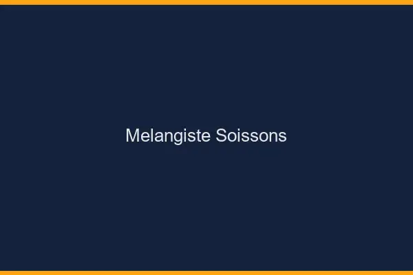 Mélangiste Soissons