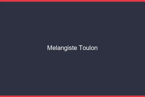 Mélangiste Toulon