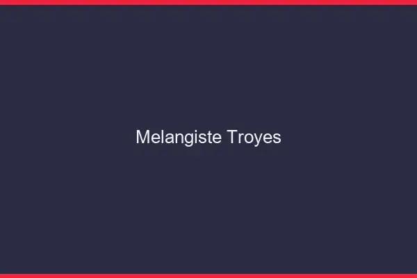 Mélangiste Troyes
