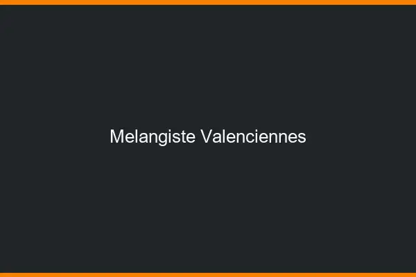 Mélangiste Valenciennes