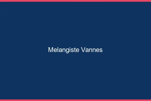 Mélangiste Vannes